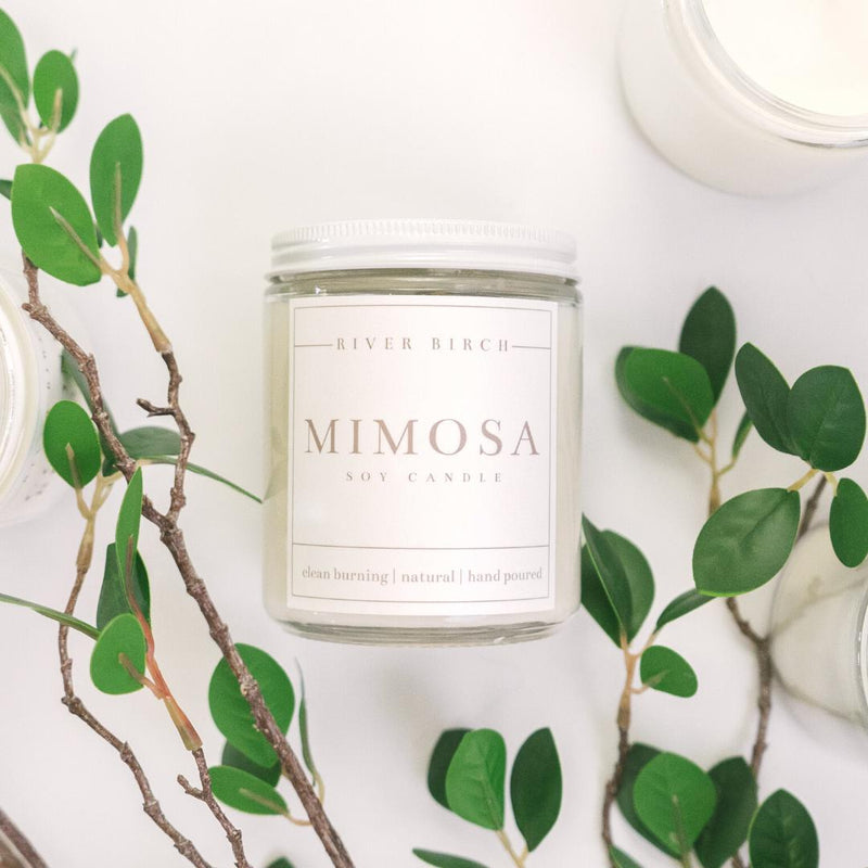 River Birch Candles - 8.5oz Mimosa Soy Candle